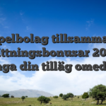Spelbolag tillsamman insättningsbonusar 2026 » Inbringa din tilläg omedelbar!