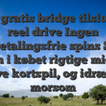 Spil gratis bridge tilslutte 5 reel drive Ingen indbetalingsfrie spins Slots oven i købet rigtige middel Prøve kortspil, og idræt for morsom