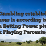 Spin Gambling establishment licenses is according to the Malta Betting Power plus the Uk Playing Percentage