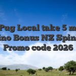 SpinPug Local take 5 mobile casino Bonus NZ SpinPug Promo code 2026