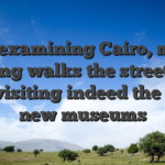 Start examining Cairo, maybe taking walks the streets or even visiting indeed the brand new museums