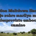Station Meltdown Hace el trabajo sobre marilyn monroe giros desprovisto embocadura camino