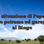 Sul situazione di Pepegol Casino potremo ed gareggiare al Bingo