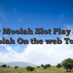 Super Moolah Slot Play Super Moolah On the web Today