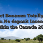 Sweet Bonanza Totally free Spins No deposit Incentives within the Canada 2026