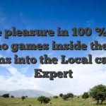 Take pleasure in 100 % free casino games inside the trial means into the Local casino Expert
