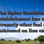 Tea Spins Gambling establishment has an extremely other feel off old-fashioned on line casinos