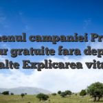 Termenul campaniei Prowin tambur gratuite fara depunere si alte Explicarea vitale