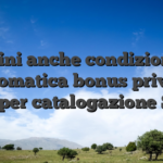 Termini anche condizioni del Lottomatica bonus privo di fitto per catalogazione SPID
