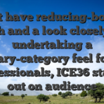 That have reducing-border tech and a look closely at undertaking a primary-category feel for our professionals, ICE36 stands out on audience