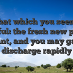 That which you seems truthful: the fresh new put try instant, and you may games discharge rapidly