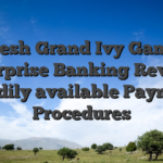 The fresh Grand Ivy Gambling enterprise Banking Review: Readily available Payment Procedures