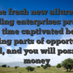 The fresh new allure of gambling enterprises provides much time captivated bettors, merging parts of opportunity, thrill, and you will possible money
