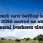 The fresh new betting land in the 2026 moved on out of general business clones