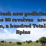 The fresh new godfather 100 % free 80 revolves � around 5 Bitcoin, a hundred Totally free Spins