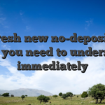The fresh new no-deposit $15: what you need to understand immediately