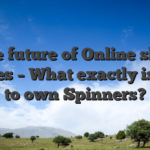 The future of Online slots games – What exactly is 2nd to own Spinners?