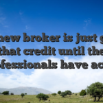 The new broker is just given that credit until the professionals have acted