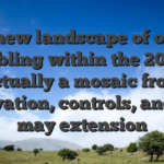 The new landscape of online gambling within the 2026 is actually a mosaic from innovation, controls, and you may extension