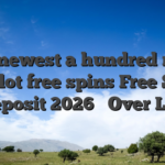 The newest a hundred royal win slot free spins Free Spins No-deposit 2026 ️ Over Listing