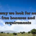 The way we look for newest 100 % free bonuses and bonus requirements