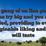 Their gang of on line position game try big and you may varied, providing to every imaginable liking and you will taste