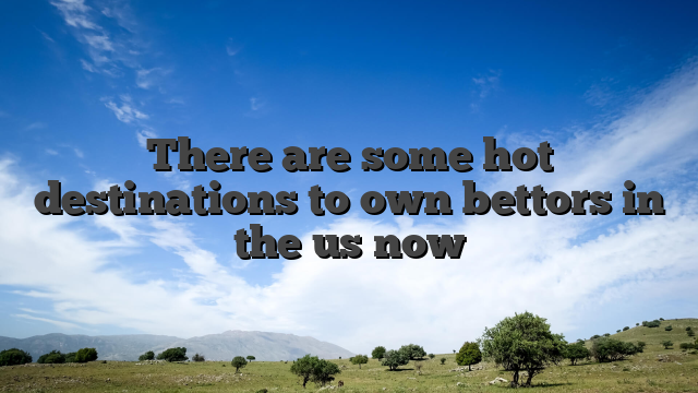 There are some hot destinations to own bettors in the us now