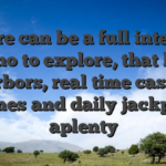 There can be a full internet casino to explore, that have harbors, real time casino games and daily jackpots aplenty