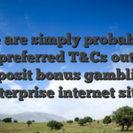 These are simply probably the most preferred T&Cs out of no deposit bonus gambling enterprise internet sites