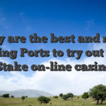 They are the best and most pleasing Ports to try out to the Stake on-line casino