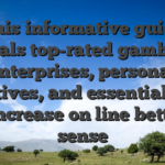 This informative guide reveals top-rated gambling enterprises, personal incentives, and essential ideas to increase on line betting sense