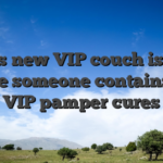 This new VIP couch is the place someone contains the VIP pamper cures