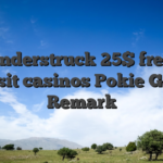 Thunderstruck 25$ free no deposit casinos Pokie Games Remark