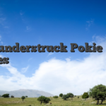 Thunderstruck Pokie Σχόλιο Pokies για διασκέδαση και πραγματικό εισόδημα