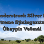 Thunderstruck Silver Blitz Extreme Sýningarstaða Ókeypis Veðmál