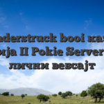 Thunderstruck booi казино Србија II Pokie Server Мој лични вебсајт