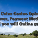 Top Coins Casino Opinion: Bonuses, Payment Methods, and you will Online game