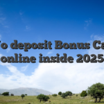 Top No deposit Bonus Casinos online inside 2025