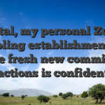 Total, my personal Zula Gambling establishment post on the fresh new commission actions is confident