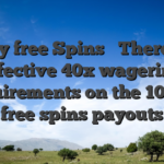 Totally free Spins � There is an effective 40x wagering requirements on the 100 % free spins payouts