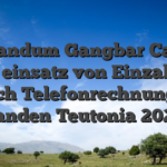 Traktandum Gangbar Casinos unter einsatz von Einzahlung durch Telefonrechnung zu handen Teutonia 2026