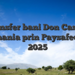Transfer bani Don Casino Romania prin Paysafecard 2025
