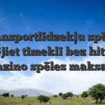 Transportlīdzekļu spēles Spēlējiet tīmeklī bez hitnspin kazino spēles maksas!