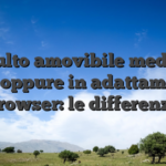 Tumulto amovibile mediante app oppure in adattamento browser: le differenze