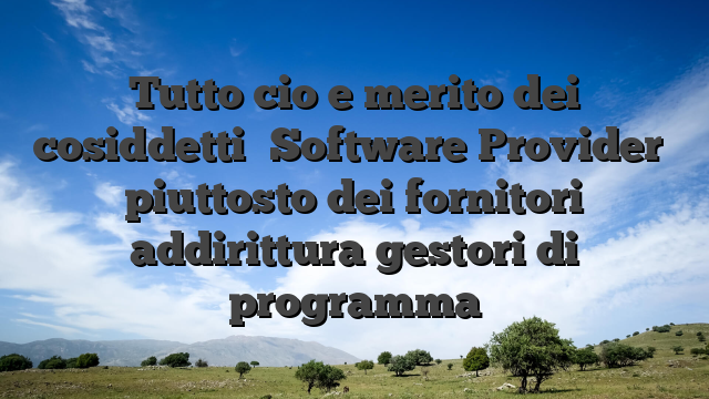 Tutto cio e merito dei cosiddetti �Software Provider� piuttosto dei fornitori addirittura gestori di programma