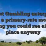 Twist Gambling enterprise has a primary-rate mobile giving you could see at any place anyway