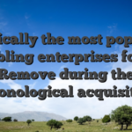 Typically the most popular gambling enterprises for the Remove during the chronological acquisition