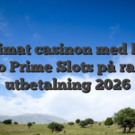 Ultimat casinon med live casino Prime Slots på rak arm utbetalning 2026