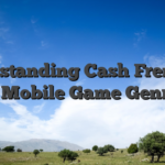 Understanding Cash Frenzy as a Mobile Game Genre