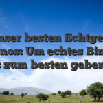 Unser besten Echtgeld Casinos: Um echtes Bimbes seriös zum besten geben 2026